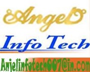 Business Opportunity for Online-offline Earn Money With ANJEL INFOTECH