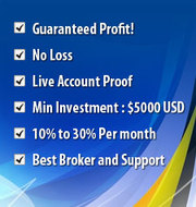 GK Forex Profitable Auto Trading Expert Advisor,  Coimbatore,  India