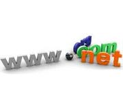 A professionally designed website including domain & 1 years web hosti