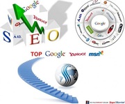 examoney seo service web design and promotion