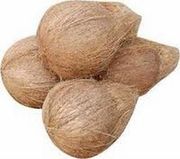 Whole sale Coconut exporters from india .