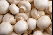 Mushroom india-Khao, Khilao and Health Banao	(india)