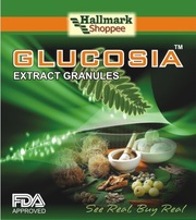 Diabetes Herbal Treatment Product