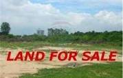 Big Land Available Gujarat..09824204102