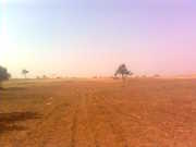 Agriculture Land 5 Bigha to 500 Bigha Gujarat 09824204102