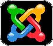 Joomla Developer