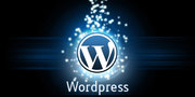Responsive Wordpress Website Development at only $500!!!