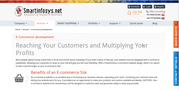 E-commerce Website development company