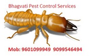 Bhagvati Pest Control Services