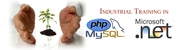 Training - PHP,  Web Designing,  Project,  MCA Project,  Live Project, 