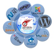 Website development Services in India