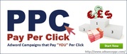 Hire PPC Consultant To Stay First In Your Business Competition