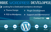 Need Exp. Wordpress/PHP Developer