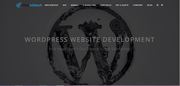 WordPress Website Design And Development Company in Surat,  India