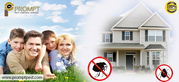 Prompt Pest Control Service offers the best pest control services