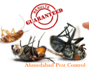 Pest Control Services in Ahmedabad 