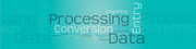 Data Processing Services