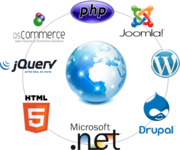 What is Website Development?