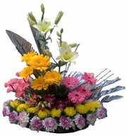 Send Valentine 2016 flowers to Baroda