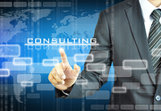 Consulting Services Database Provider