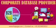 Corporate Database in Delhi is Essential for your Success