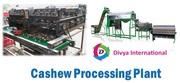 Cashew Processing Plant