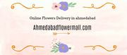 Online Flowers Delivery in Ahmedabad