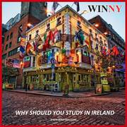 Why Should You Study in Ireland?