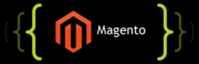 Magento Website Development & Designing Services Company India 