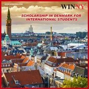 Scholarship in Denmark for International Students