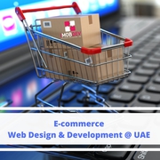 Enhancing business with our Web Design & Development Services in UAE