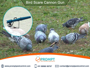 Save your Farm from Threats of birds with Bird Scarring Devices