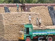 Supply Of Food Grain