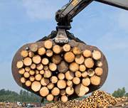 Log/Timber Grab Bucket