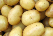 Potato Farming Techniques in India