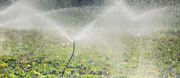 Sprinkler Irrigation System in India
