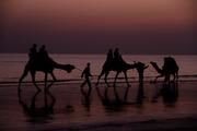 BOOK RANN OF KUTCH FESTIVAL TOUR PACKAGE FROM TEMPLETOURONLINE GET 20%