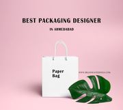 Best Packaging Designer in ahmedabad