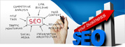 Best SEO Services provider in Ahmedabad