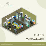 Cluster Management Services in India
