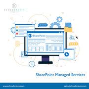 Microsoft SharePoint Managed Services India