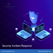 Cyber Security Incident Response Services