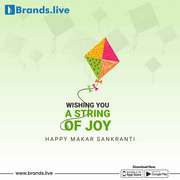 More Than 10000+ Creative Makar Sankranti Marketing Images and  Videos