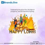 Creative Lohri Post Maker With Your Business Details