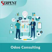 Expert Odoo Consulting Services by SerpentCS