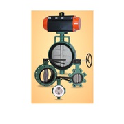 Resilient Seated Butterfly Valve Manufacturer in India