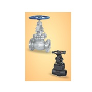 Globe Valve Manufacturer,  Supplier & Exporter