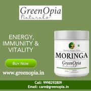 Buy Moringa Powder Online at Best Price in India | Greenopia
