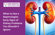 Looking for a When to see a Nephrologist Early Signs of Kidney Problem