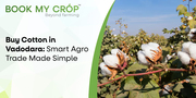 Crop production in India | Bookmycrop
